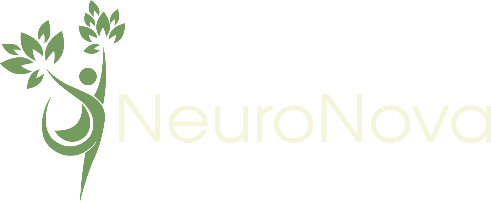 NeuroNova logo